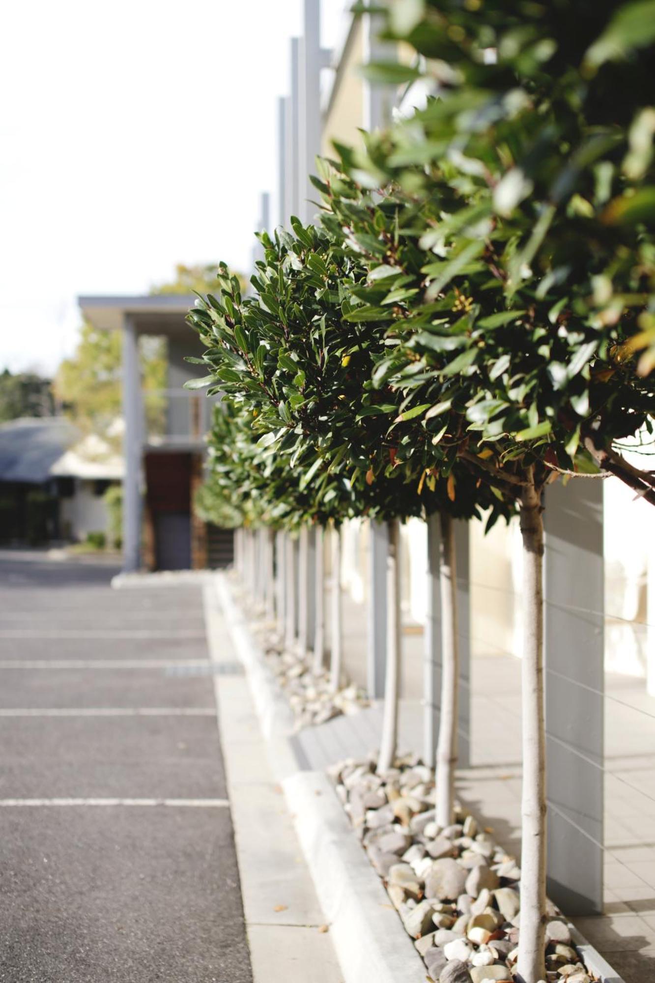 Brooklands Of Mornington Hotel Exterior photo